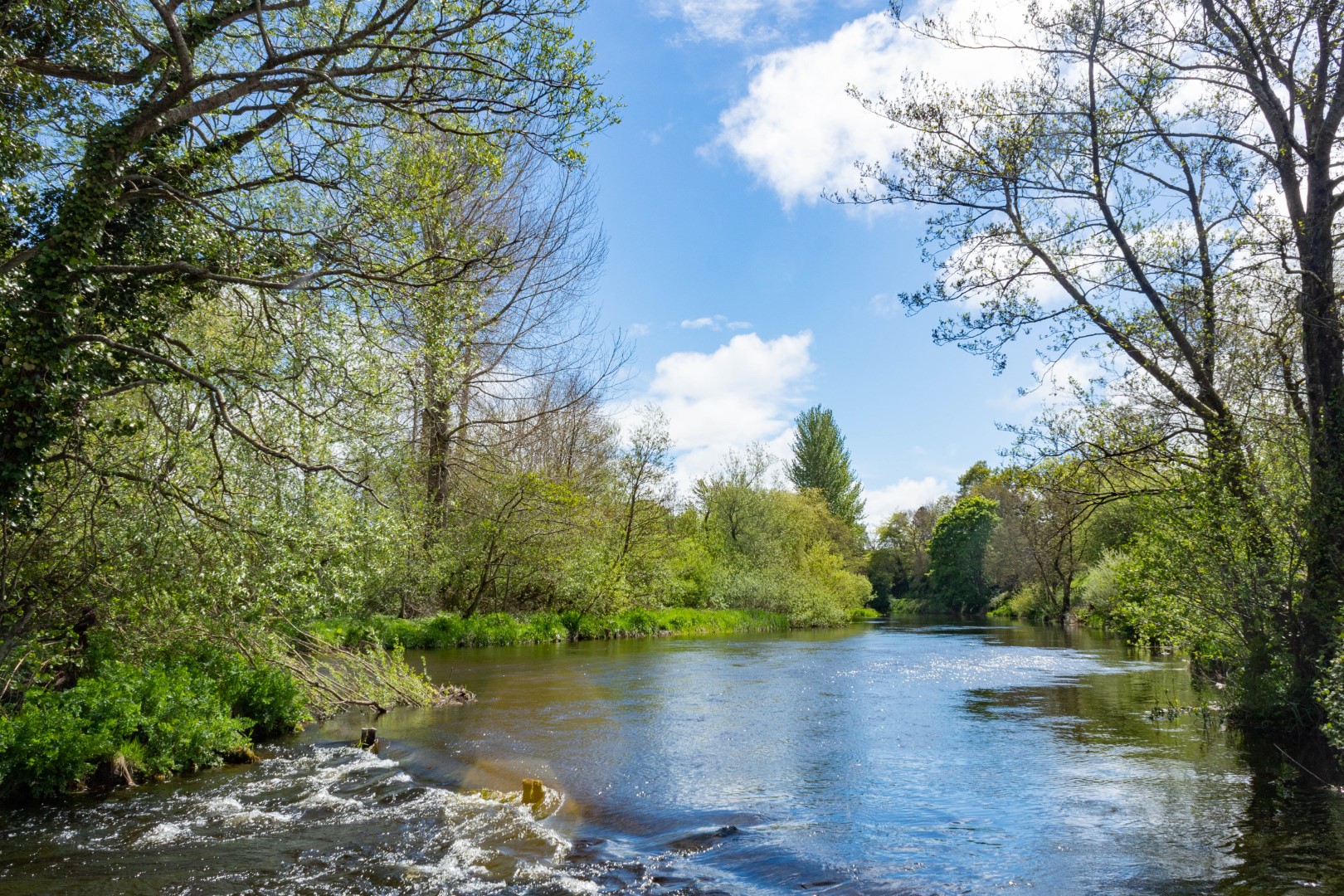 River Liffey at Newbridge