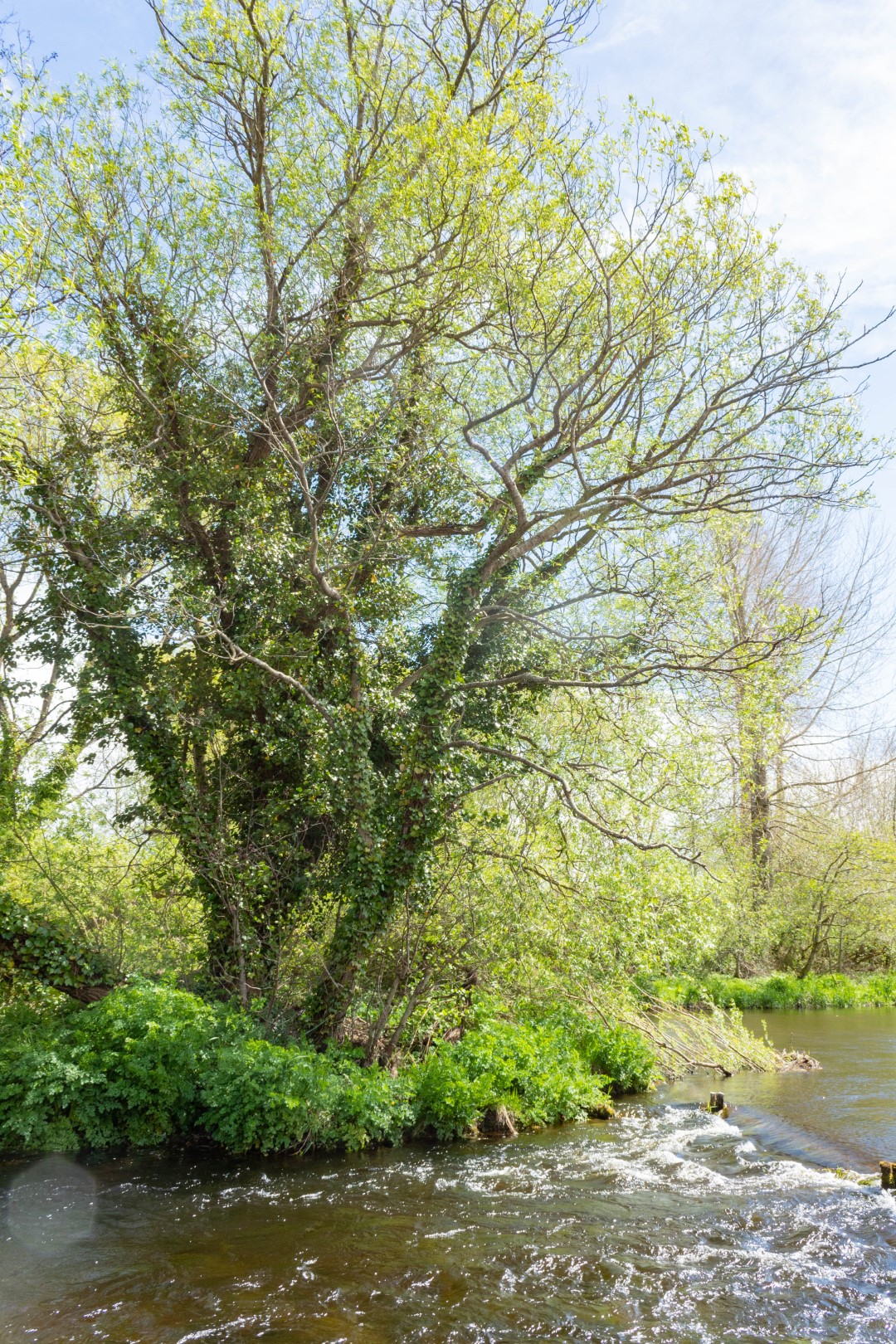 River Liffey at Newbridge